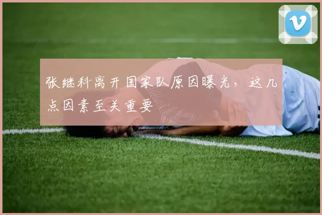 张继科离开国家队原因曝光，这几点因素至关重要