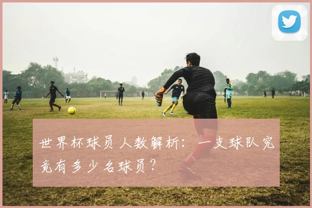 世界杯球员人数解析:一支球队究竟有多少名球员?