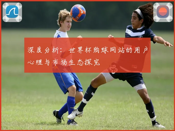 深度分析：世界杯购球网站的用户心理与市场生态探究