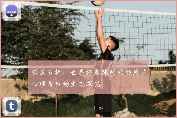 深度分析：世界杯购球网站的用户心理与市场生态探究
