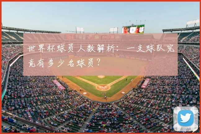 世界杯球员人数解析:一支球队究竟有多少名球员?