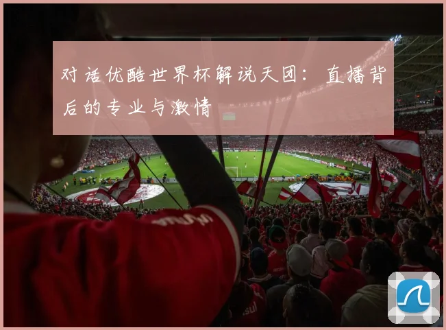 对话优酷世界杯解说天团：直播背后的专业与激情