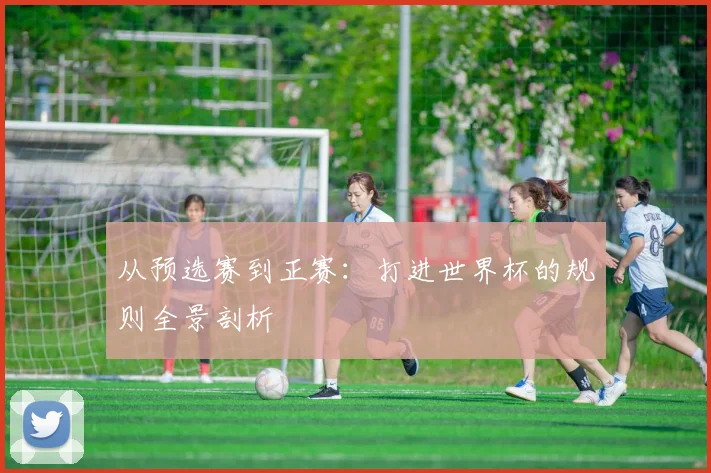 从预选赛到正赛:打进世界杯的规则全景剖析