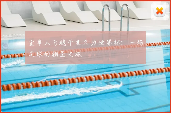 金华人飞越千里只为世界杯：一场足球的朝圣之旅